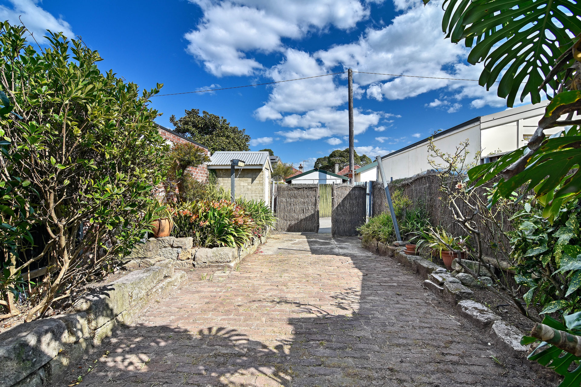123 Holtermann Street, Crows Nest, Crows Nest - Thumbnail 7